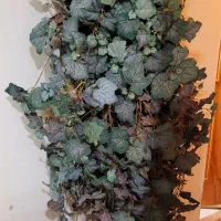 گل مصنوعی