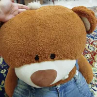 خرس 1متری