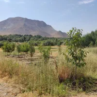 زمین-باغی-روستای-اسکان