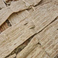 نان خشک سبوس‌دار تمیز بدون کپک بالای ۱۰۰ کیلو