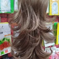 دم اسبی کلیپسی