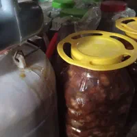 ترشی سیر درجه 1