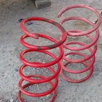 بورگین حرفه ای انزو