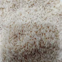 برنج هاشمی