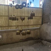 بادزنگ اصل با سکه ثروت اصل|صنایع دستی و سایر لوازم تزئینی|شهر ری, دیلمان|دیوار
