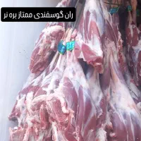 پخش گوشت گوساله وگوسفندی تازه
