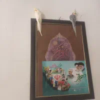 عروس هلندی