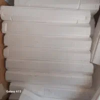 یونولیت
