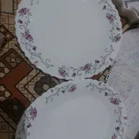 ظروف آرکوپال و چینی