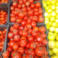 استخدام نیروی آقا در میوه فروشی