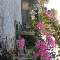 استخر و خونه باغ اجاره‌ای