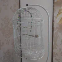قفس ایستاده