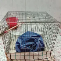 قفس پرنده