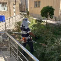 باغبانی
