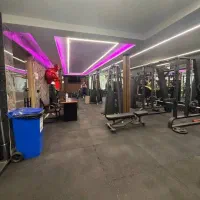 نیازمند به یک مربی بدنسازی یا مدرک معتبر