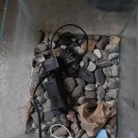 اکواریوم