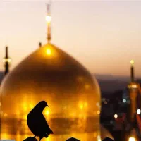 تور مشهد خیلی و هوایی