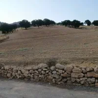 زمین-زراعی
