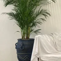 اریکا قد ۱۸۲