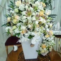 باکس گل