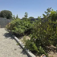 باغچه کهن سال و قدیمی