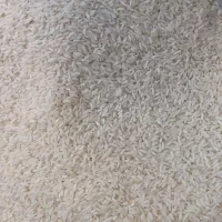 برنج عنبربو