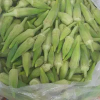 فروش بامیه تازه و باکیفیت