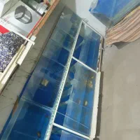 اکواریوم