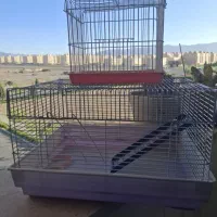 قفس جونده و پرنده