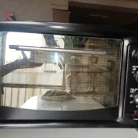 تستر بوش