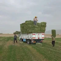 یونجه بسته بندی خشک خشک