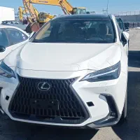 ثبت شرکت. مجوز واردات خودرو
