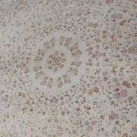 یک جفت فرش ۶ متری