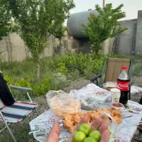 باغ 507 متر سندار آب مدار امنیت بالا مجتمع ویلایی