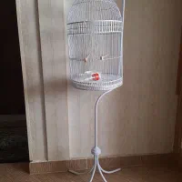 قفس ایستاده