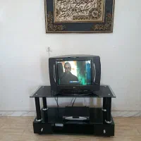 تلوزیون