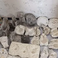 قالب پلی استر