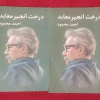 رمان درخت انجیر معابد اثر احمد محمود