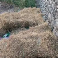 بیده قالبی دستی