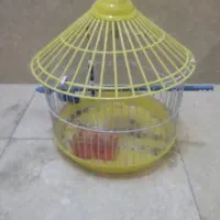 قفس و لونه ی طوطی