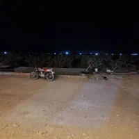 نیازمند نیرو برای گاوداری