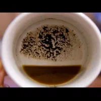 فال قهوه استخاره سرکتاب تضمینی