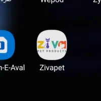 هدیه زیوا