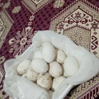 تخم قو غاز