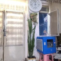 گل زیبا