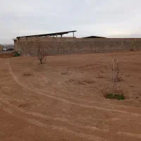 زمین مناسب باغ و دامداری