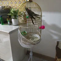 قفس پایه دار