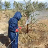 سمپاشی تخصصی باغات و باغچه و مجتمع و ..
