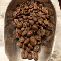 فروش عمده و جزئی دان قهوه شرکت فوکس کافی