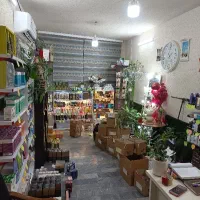 نیازمند فروشنده خانم